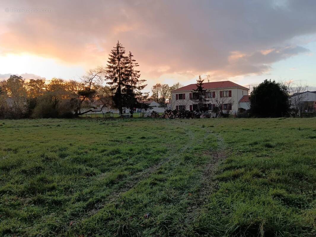 Terrain à NUEIL-LES-AUBIERS