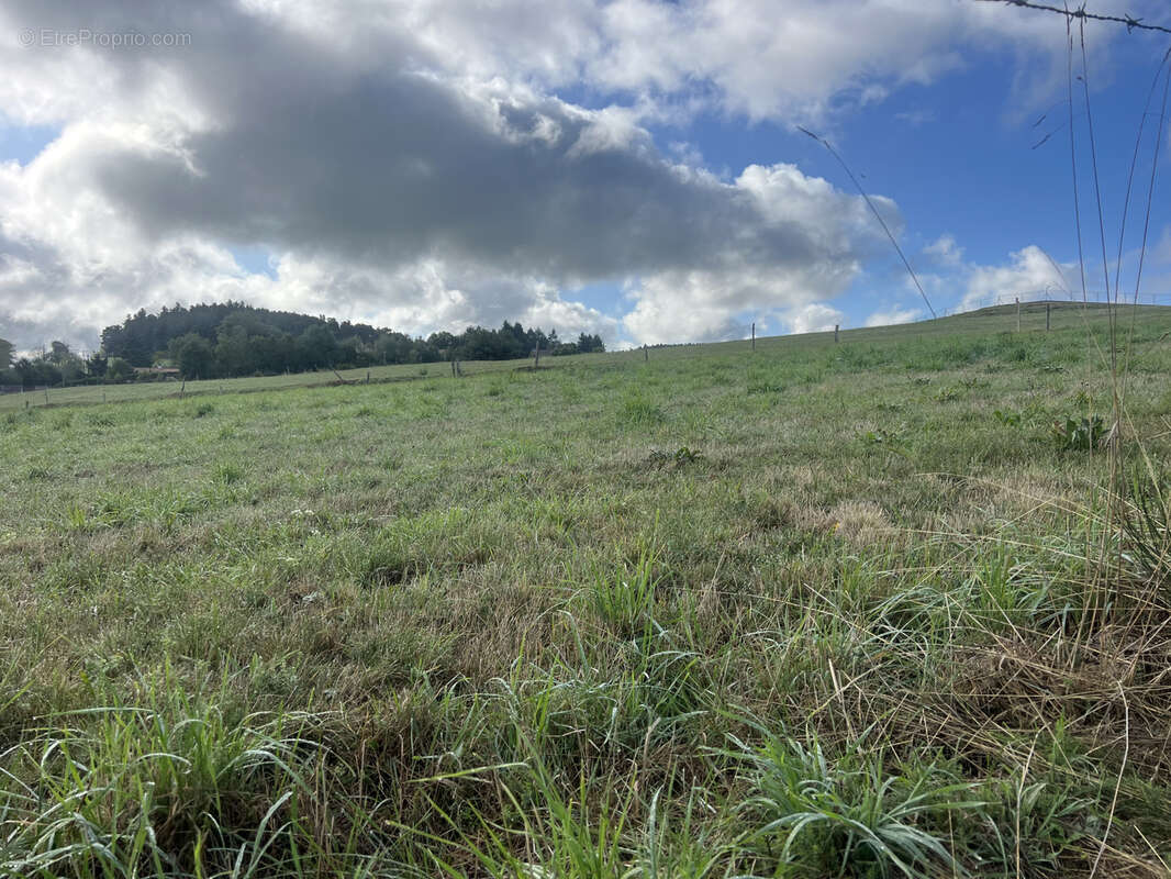 Terrain à MONISTROL-SUR-LOIRE