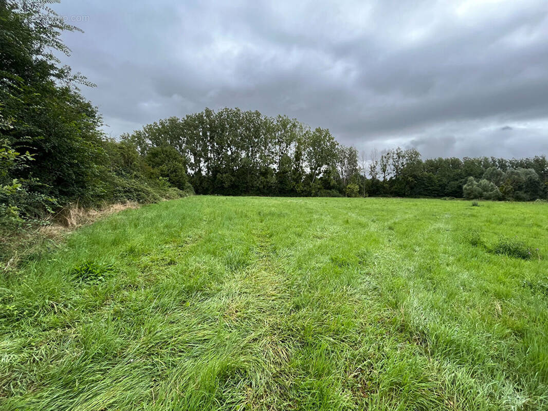 Terrain à BLANCAFORT