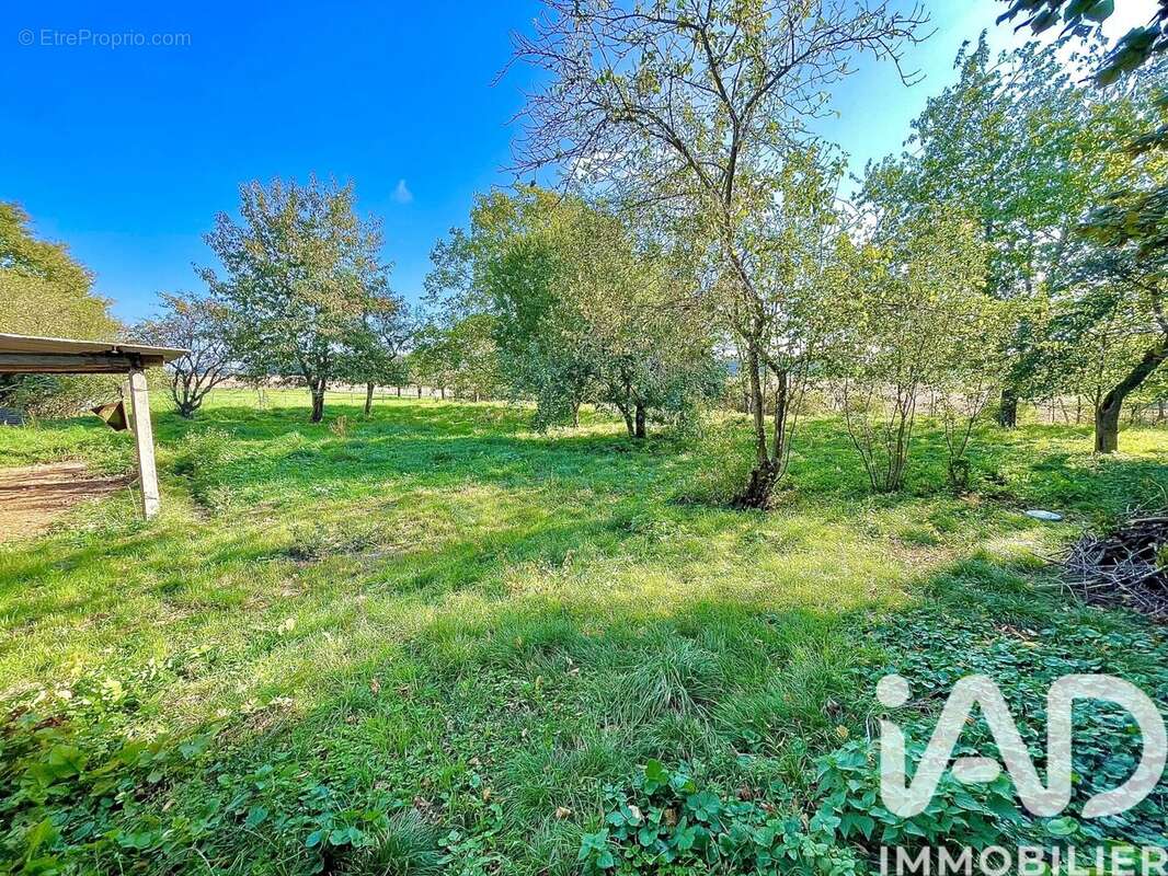 Photo 4 - Maison à SAUZELLES