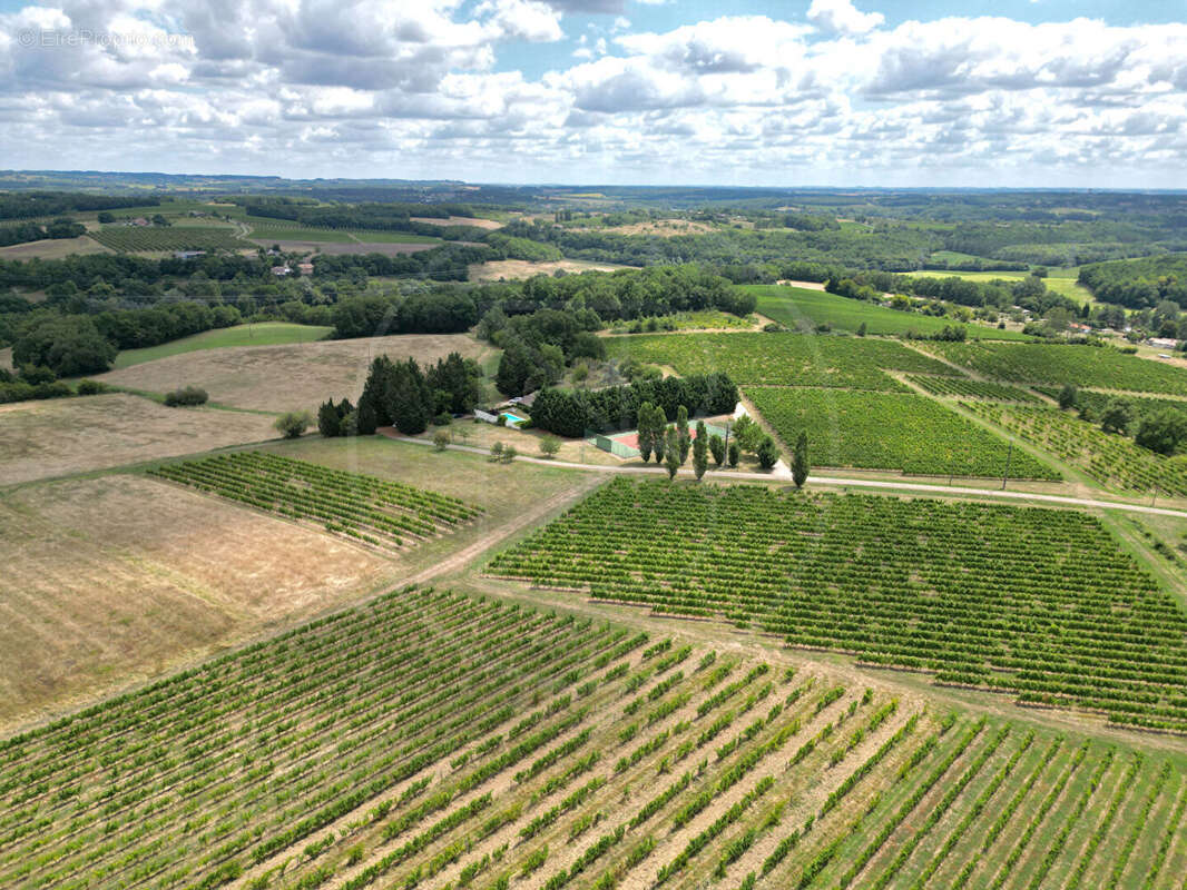 Élégant domaine viticole avec hébergements de vacances - photo 2