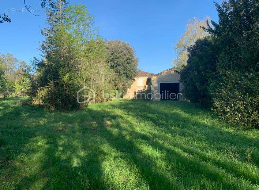Proche d' Auch - Propriété de 27ha avec Château - photo 4