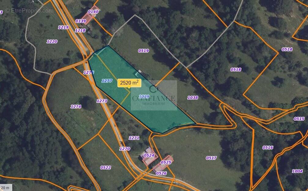 Terrain à SAINT-ETIENNE-DE-TINEE