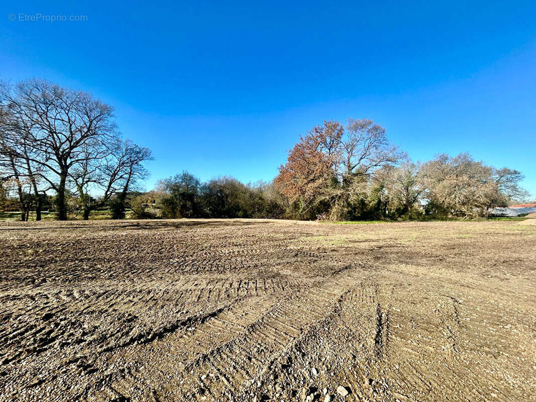 Terrain à GRENADE-SUR-L&#039;ADOUR