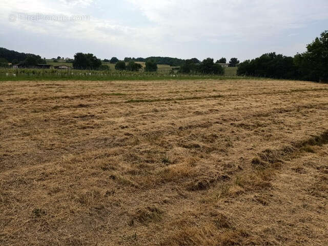 Terrain à BOISREDON
