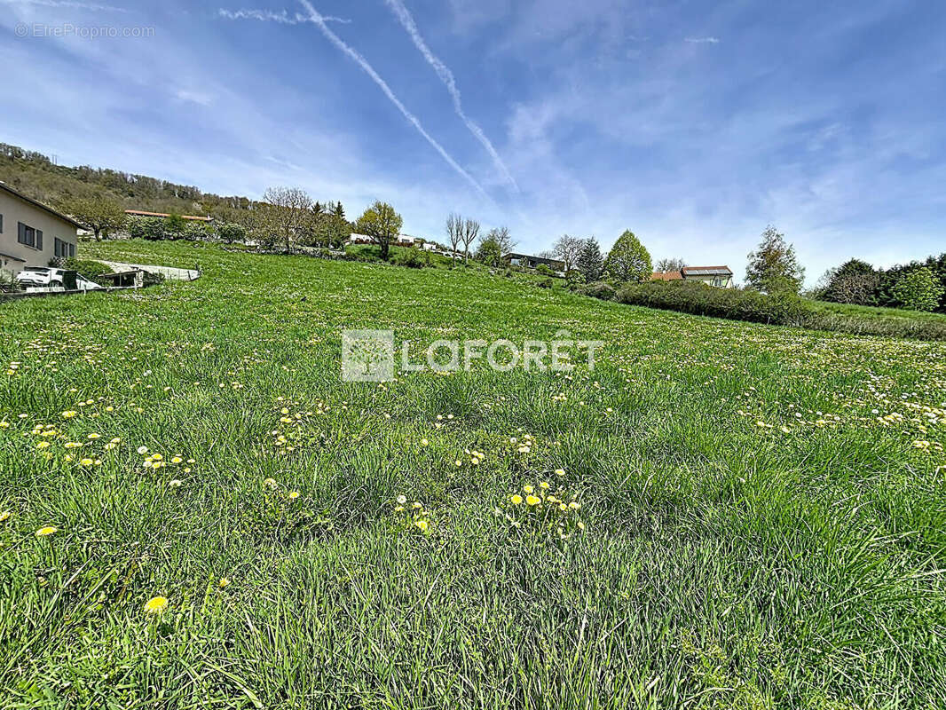 Terrain à POLIGNAC
