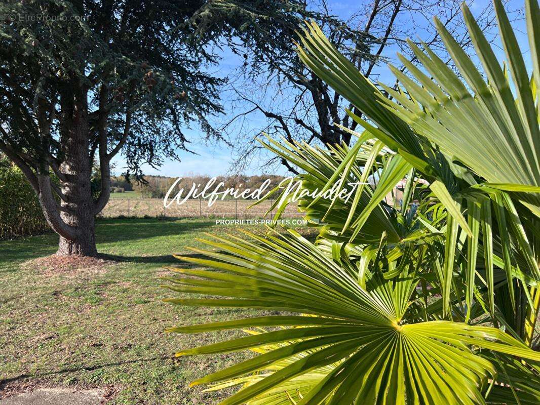 Maison à BRETTE-LES-PINS