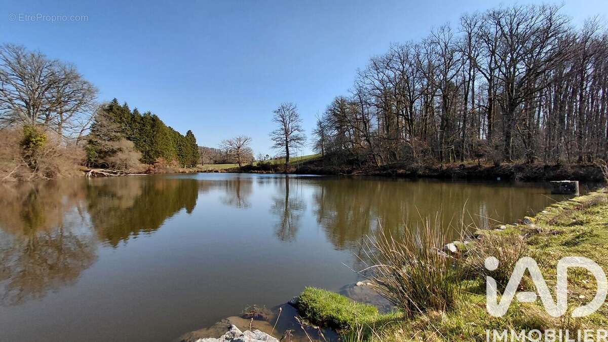 Photo 7 - Terrain à SAINT-PRIEST-LA-FEUILLE