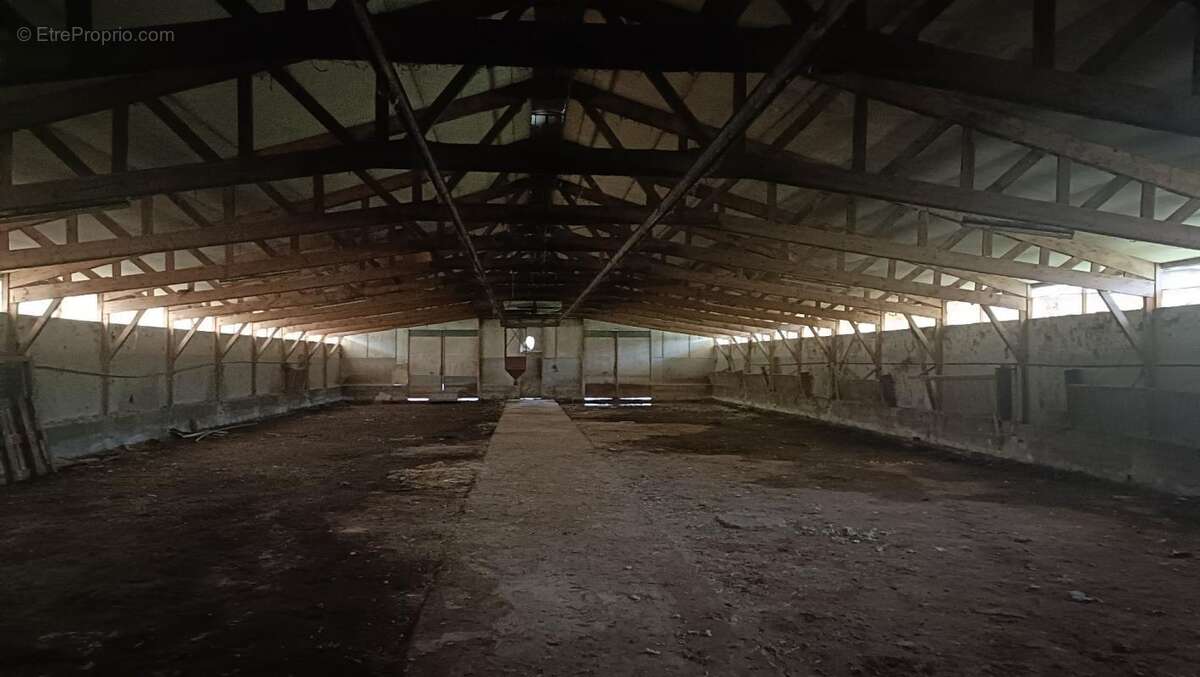 Commerce à SAINT-AFFRIQUE