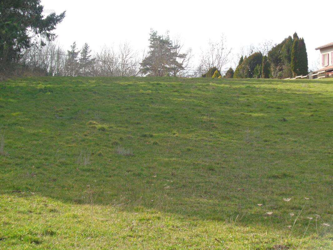 Terrain à SANSSAC-L'EGLISE