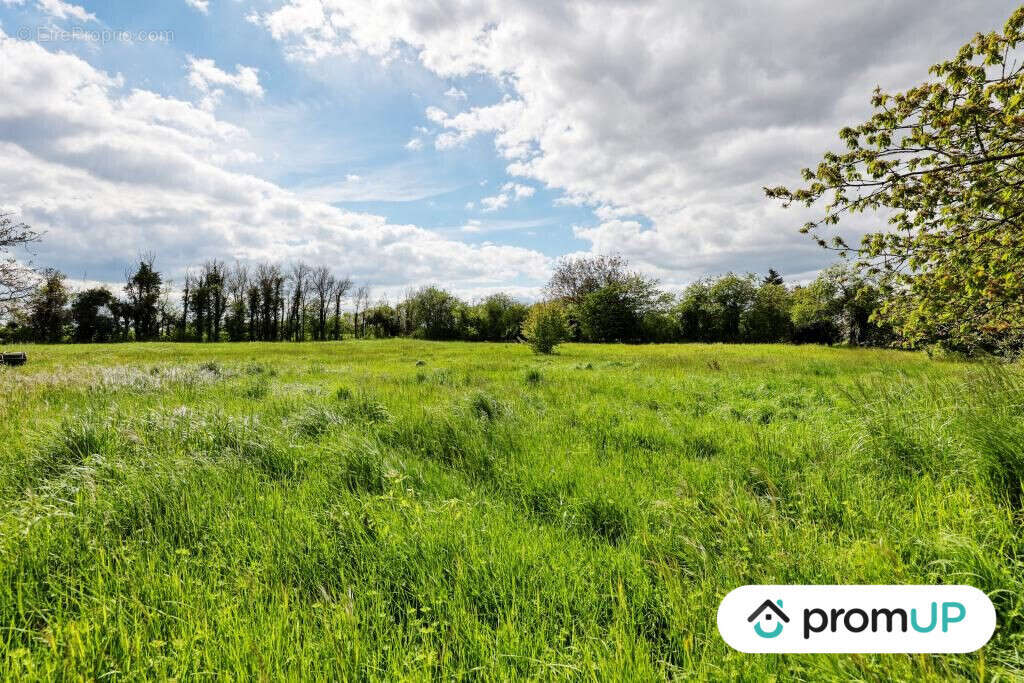 Terrain à NOHANT-EN-GOUT