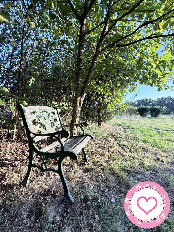 Maison à BRAY-EN-VAL