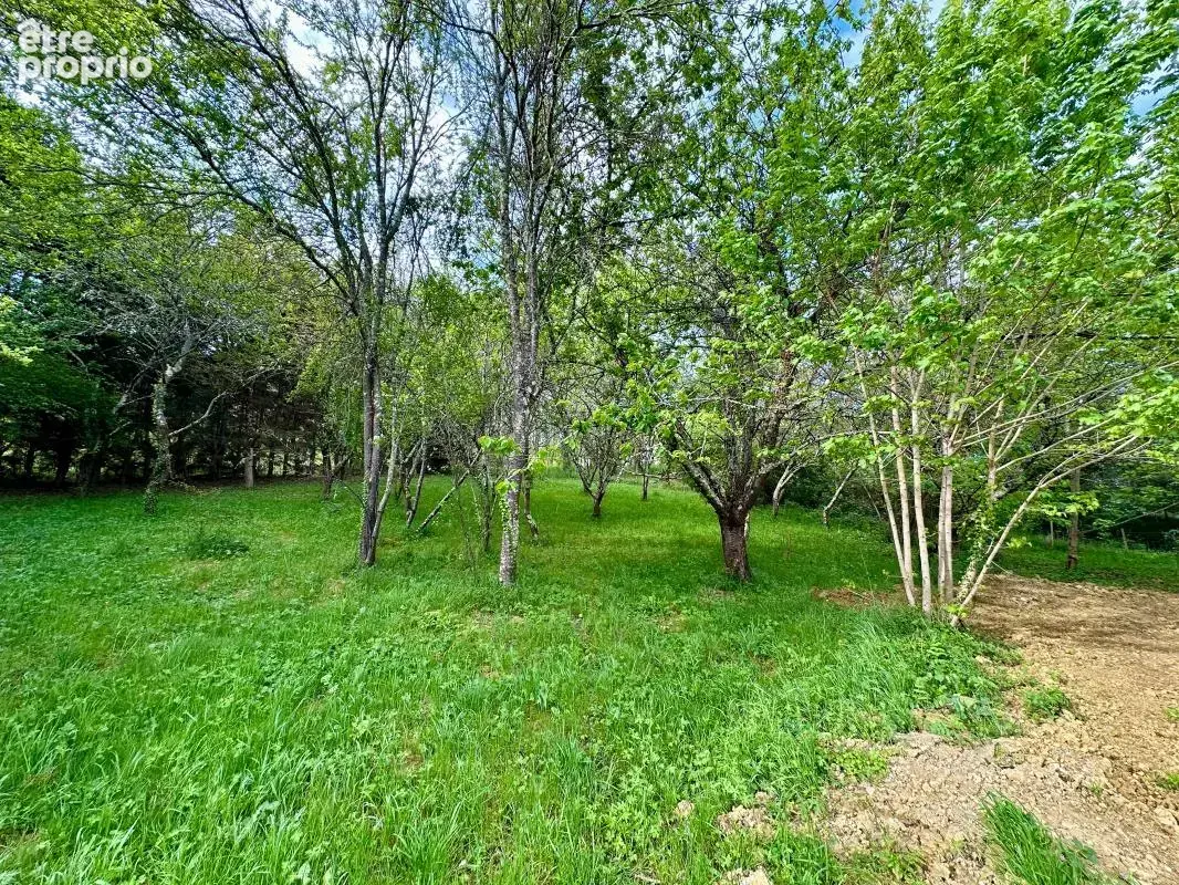 Maison 4 chambres, grand jardin - photo 18