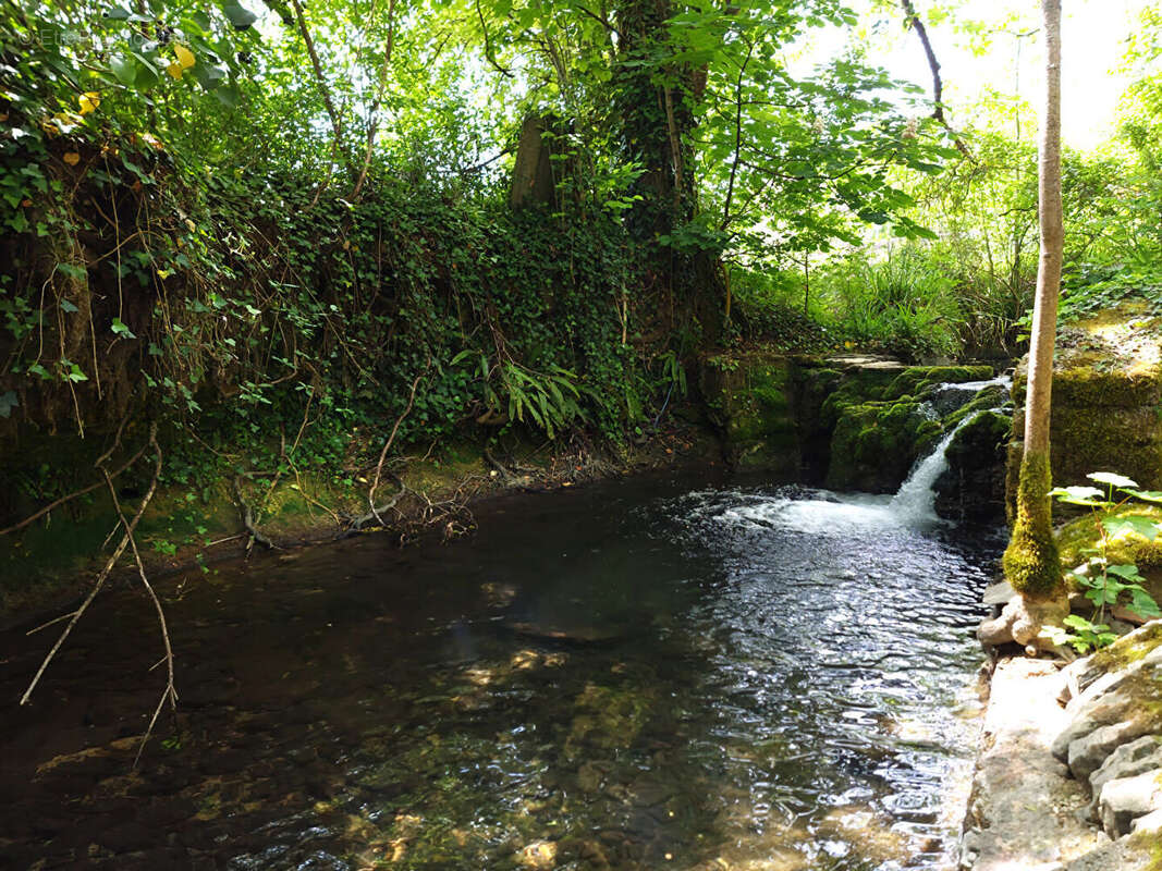 Moulin dans un hameau proche de Caylus - photo 13
