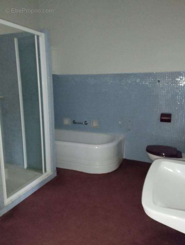 GRANDE MAISON FAMILIALE 420 m2 hotel particulier centre historisque Châteaudun - photo 8