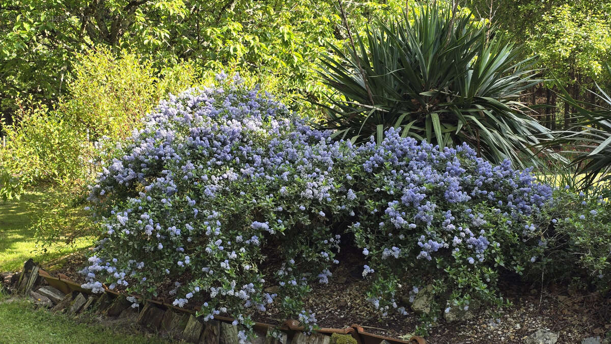 Maison à PRUNIERS-EN-SOLOGNE