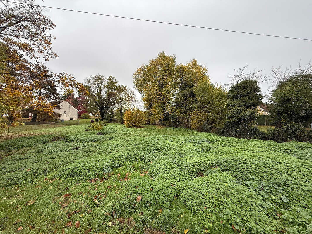 Terrain à ISSOUDUN