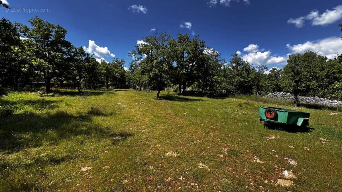 Terrain à SAINT-CHELS