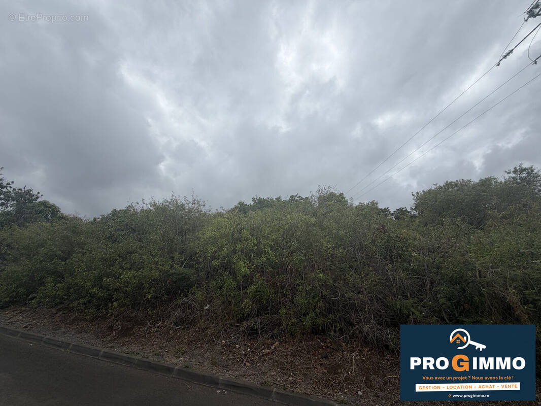 Terrain à SAINT-LEU