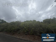 Terrain à SAINT-LEU