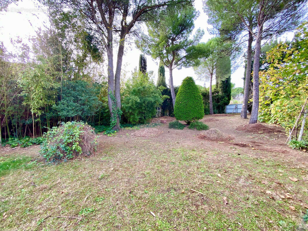 Photo 7 - Maison à MONTPELLIER