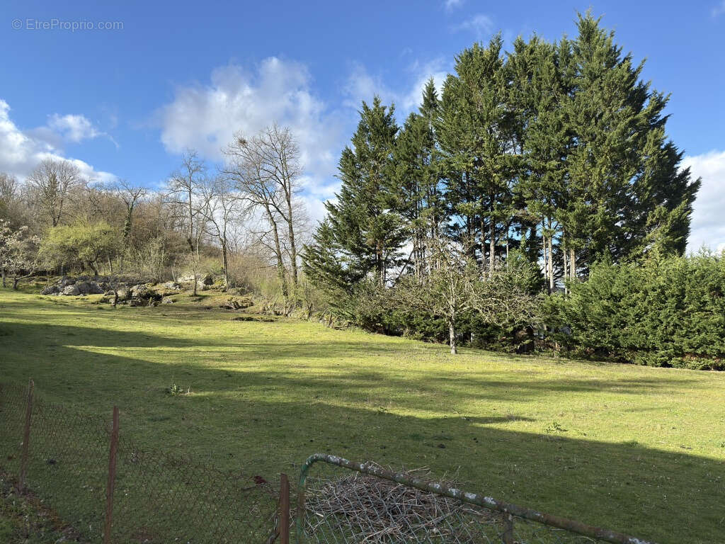 Terrain à SAINT-MARTIAL-D'ALBAREDE