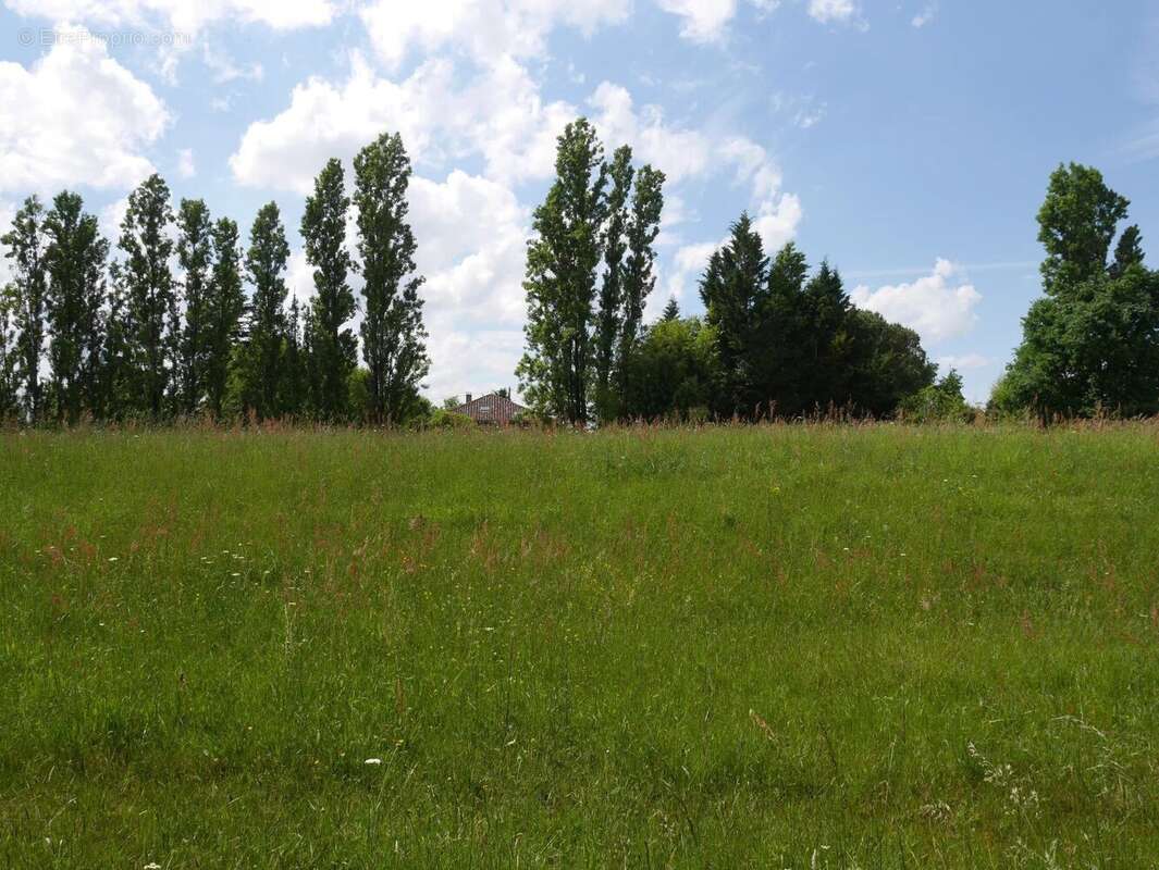 Maison à vendre | Arblade Le Haut | Gers - Maison à ARBLADE-LE-HAUT