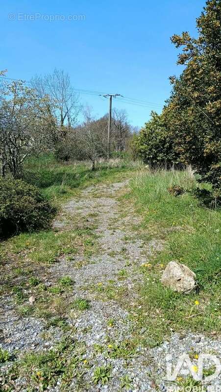 Photo 7 - Terrain à TOURNAY