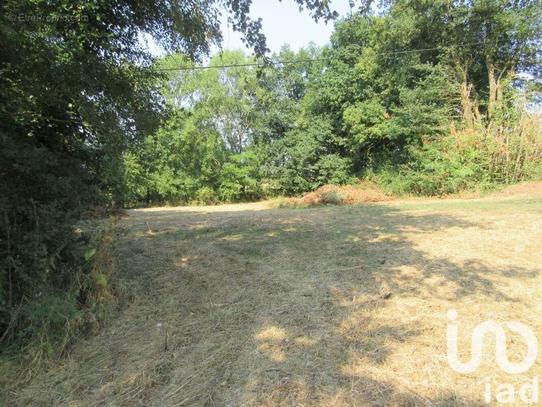 Photo 9 - Maison à MONCOUTANT