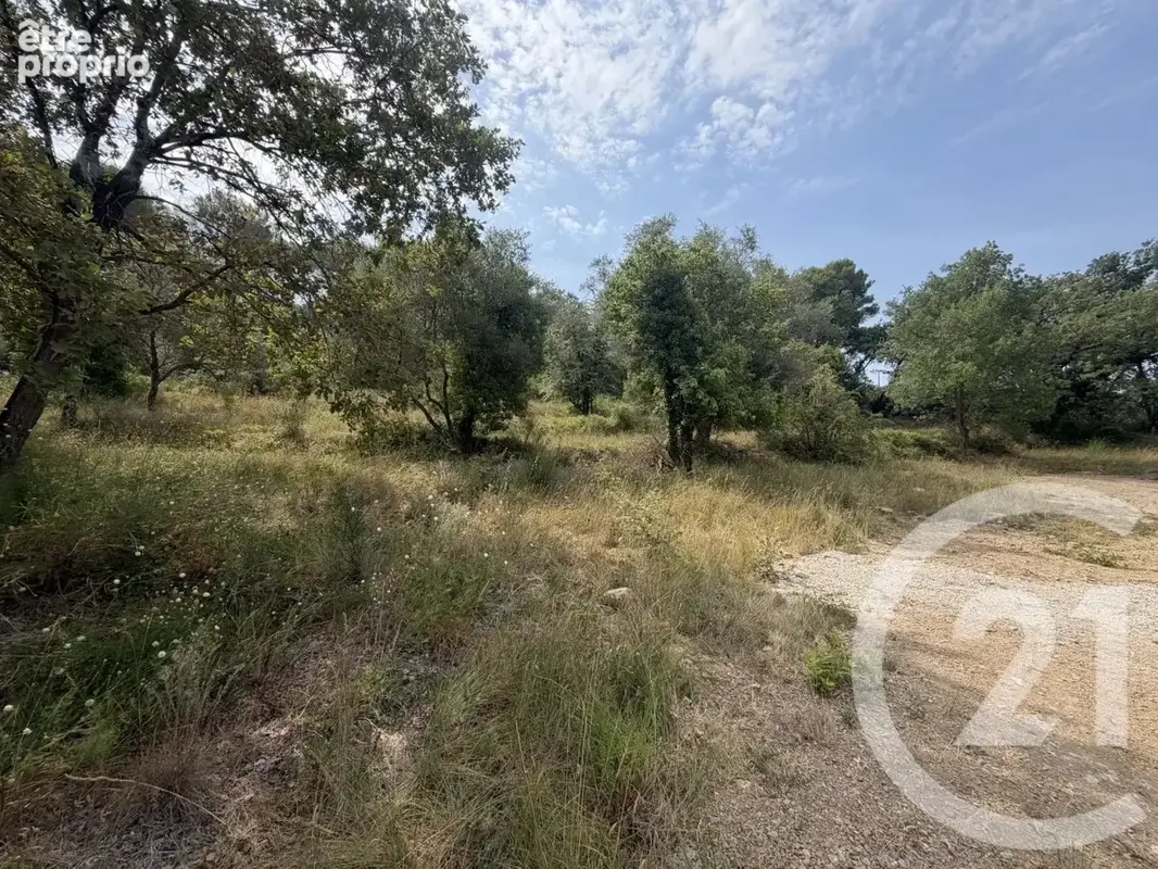 Terrain 2433 m² à Mougins  - photo 5