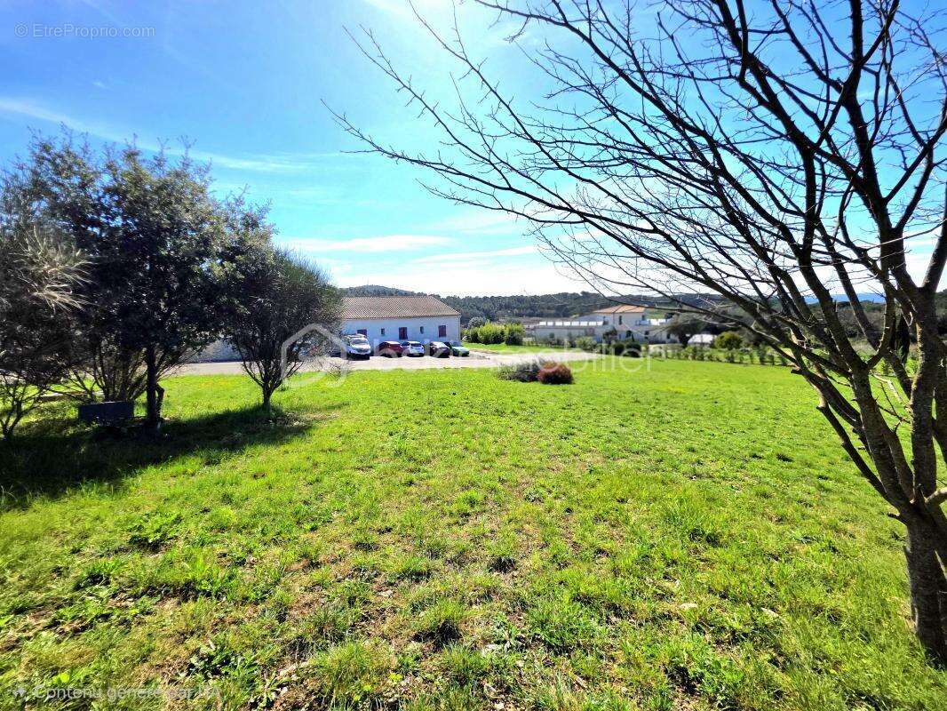Mondragon / 2 villas / 390 m² habitable / piscine / terrain 7 500 m² - photo 6