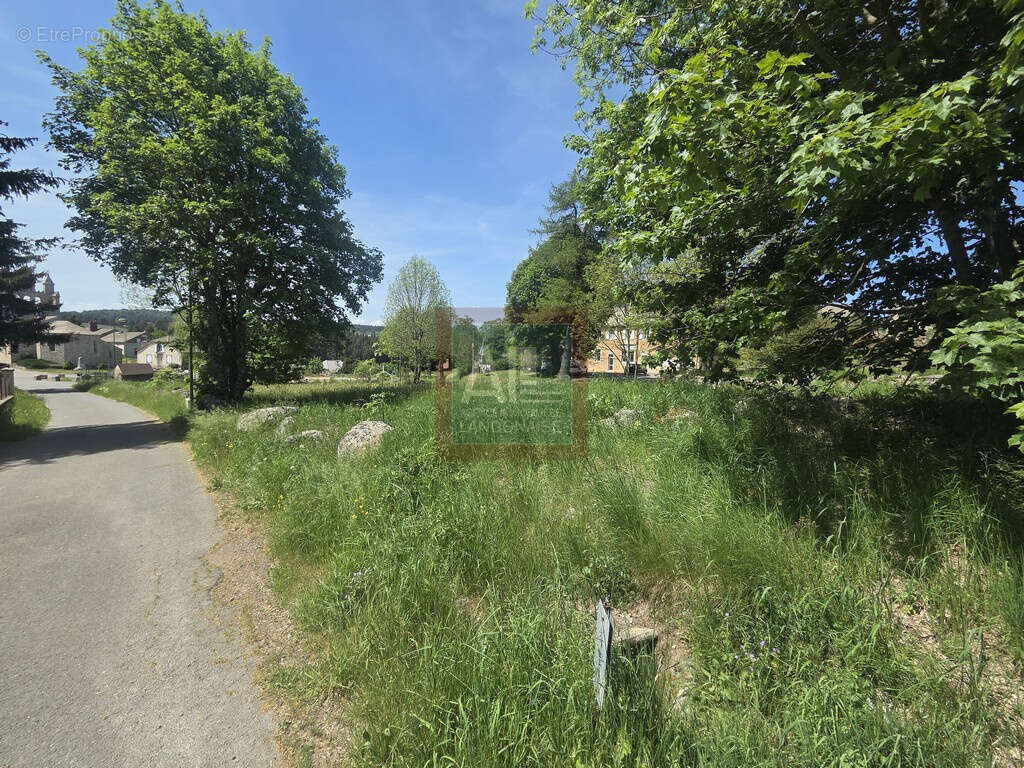 Terrain à CHAUDEYRAC