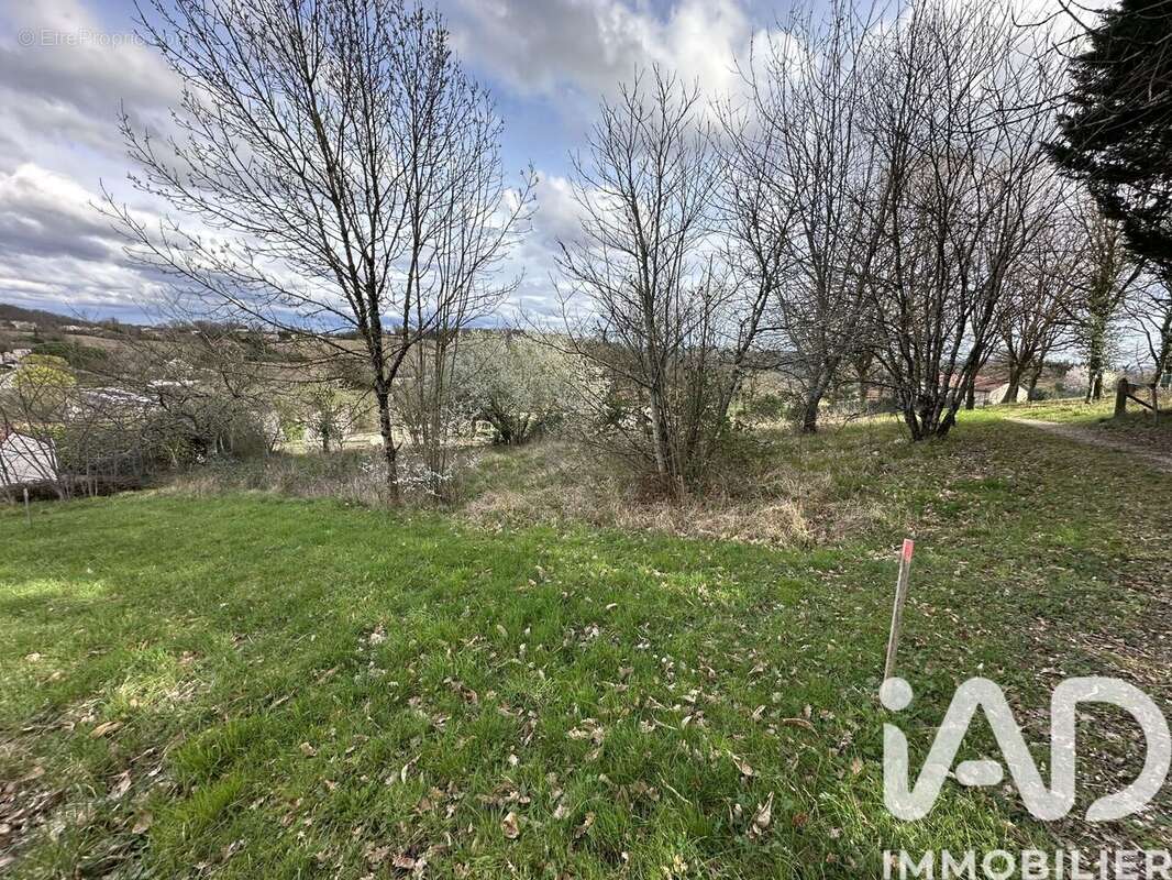 Photo 2 - Terrain à SAINT-PIERRE-LAFEUILLE