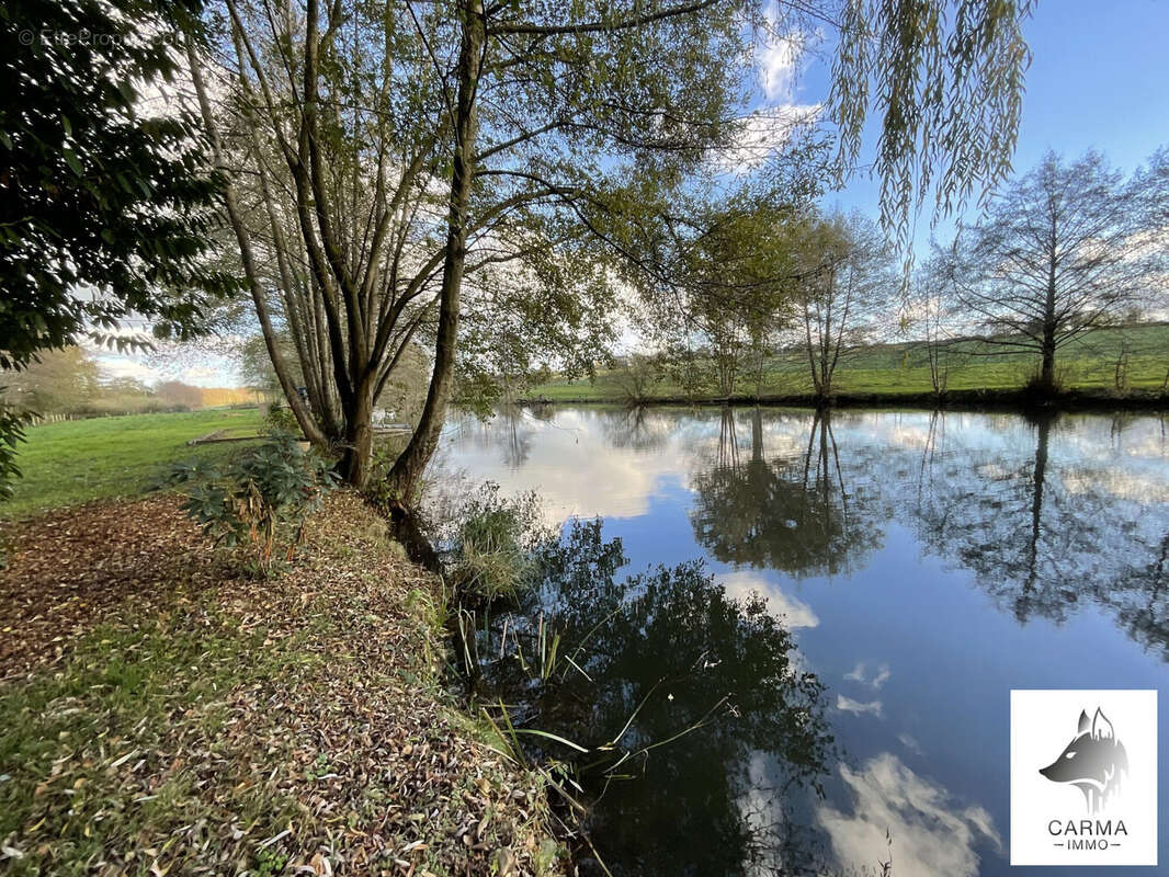 Terrain à BONNOEUVRE