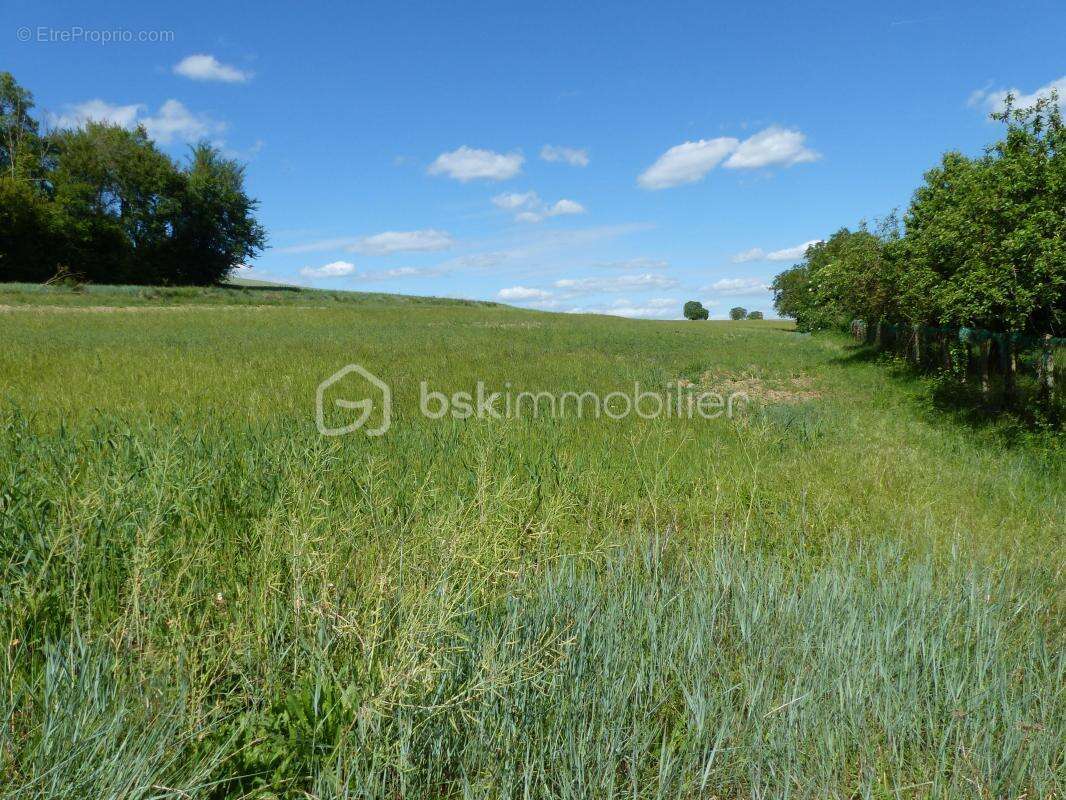 Terrain à CHARBUY
