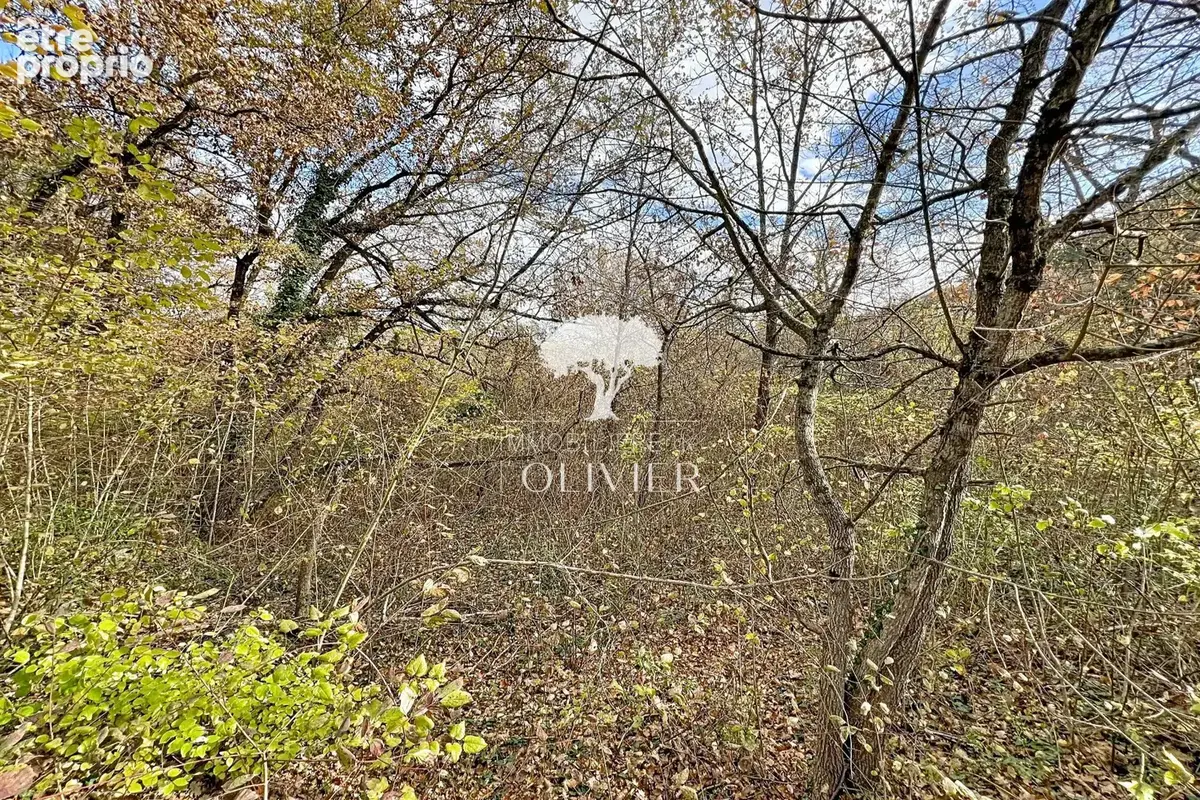 Terrain 963 m² à vendre à Saint-Martin-De-Castillon (84750) - photo 2
