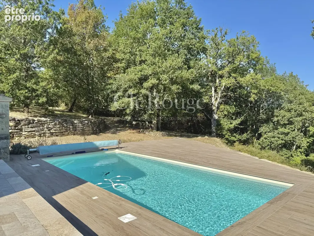 Près de Monségur – Très belle propriété avec gîte, piscine, lac et plus de 5 hectares. - photo 17