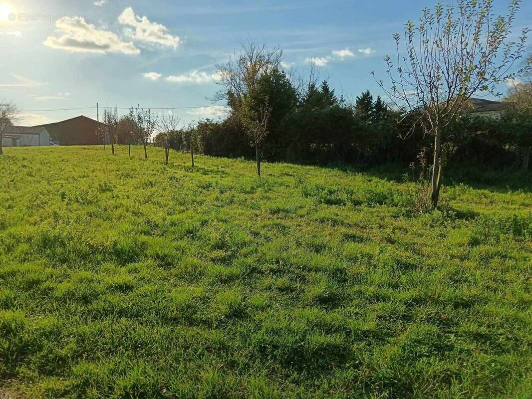 Terrain à LE GUA