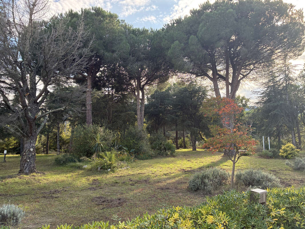 Maison à ARGELES-SUR-MER