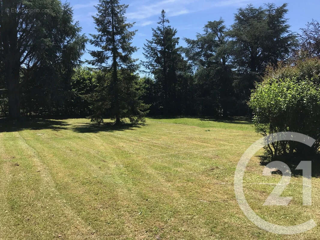 Maison à CHAMPNIERS