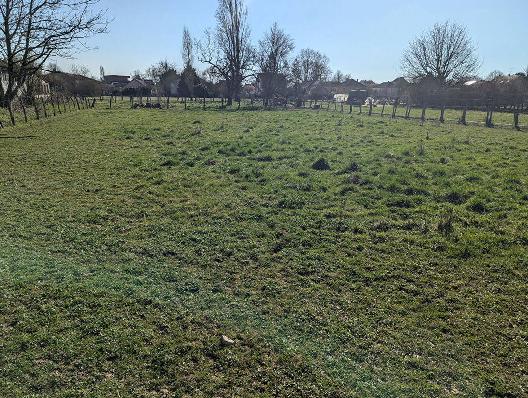 Terrain à BLETTERANS