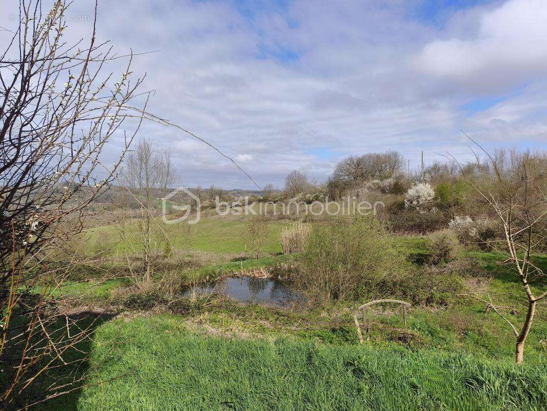 Maison de campagne en pierre, terrain, piscine - photo 15