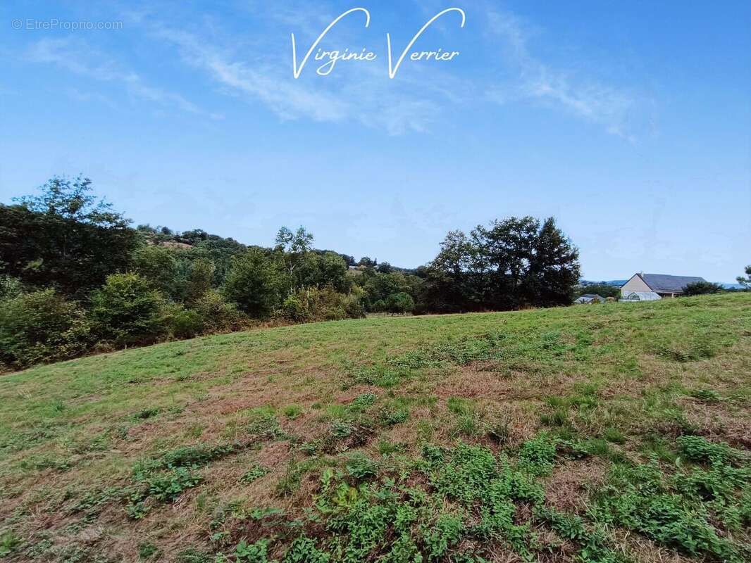 Terrain à SAINT-CYPRIEN