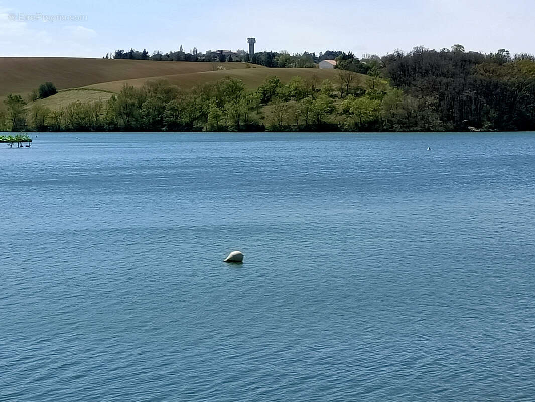 Commerce à MONTGEARD