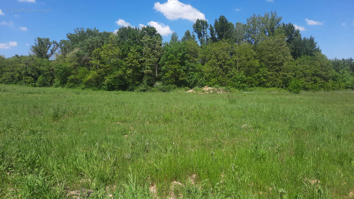 Terrain à CANNES-ET-CLAIRAN