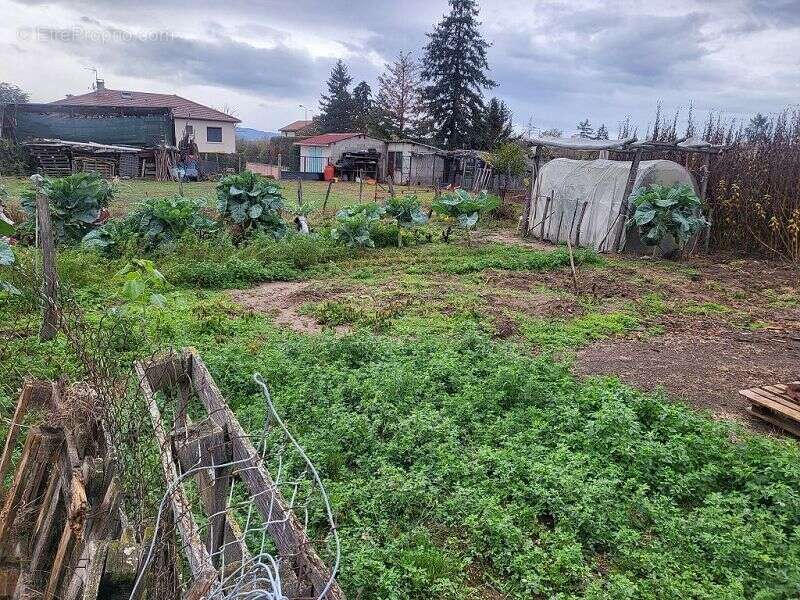 Terrain à MONTROND-LES-BAINS