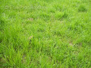 Terrain à LA BRUFFIERE