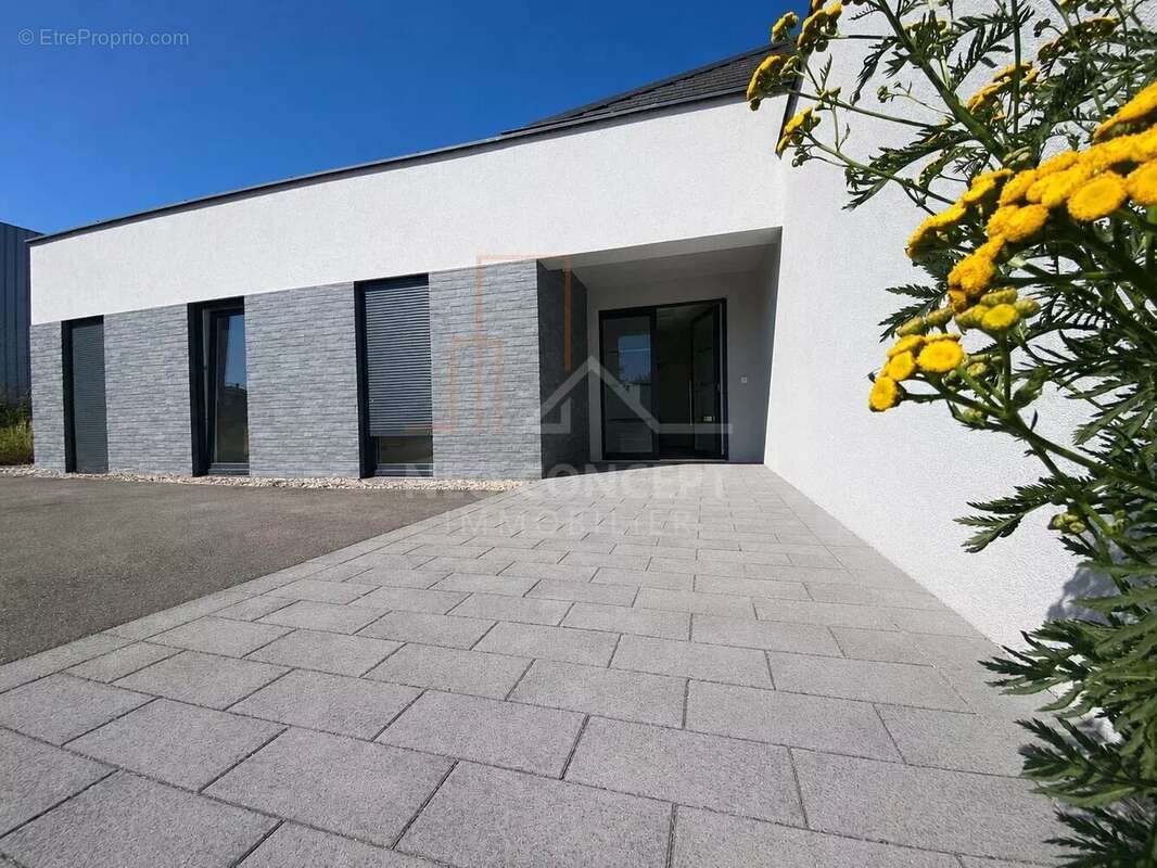 Maison de plain-pied & local professionnel - parcelle 1560 m² - photo 2