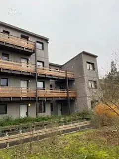 Investissement dans un Center Parcs - photo 4