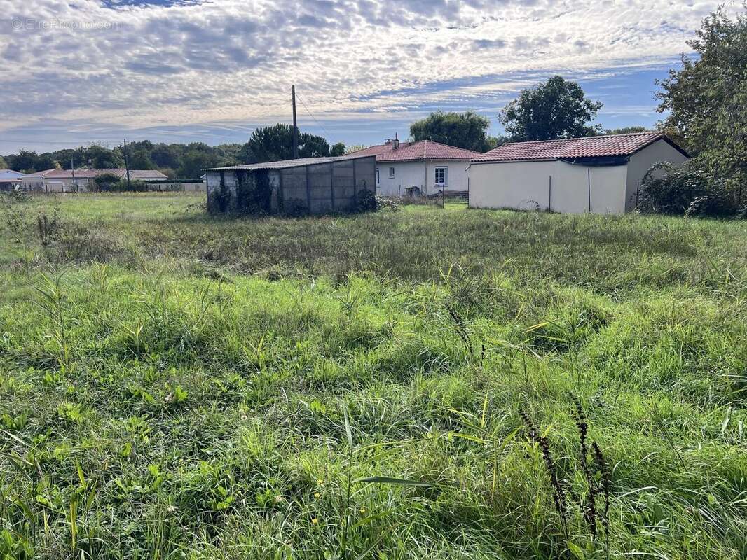 Terrain à LE PIAN-MEDOC